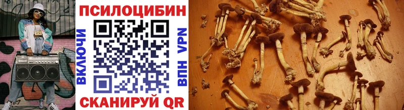 Галлюциногенные грибы MAGIC MUSHROOMS  ссылка на мегу как войти  Лаишево  как найти  
